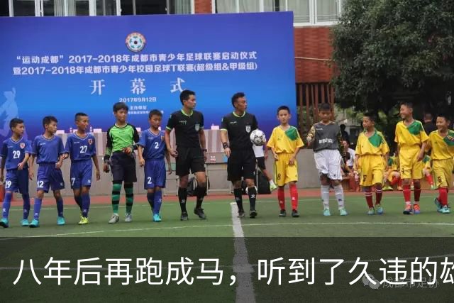八年后再跑成马，听到了久违的雄起声
