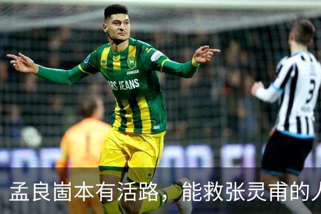 孟良崮本有活路，能救张灵甫的人却被自己人一脚踢开