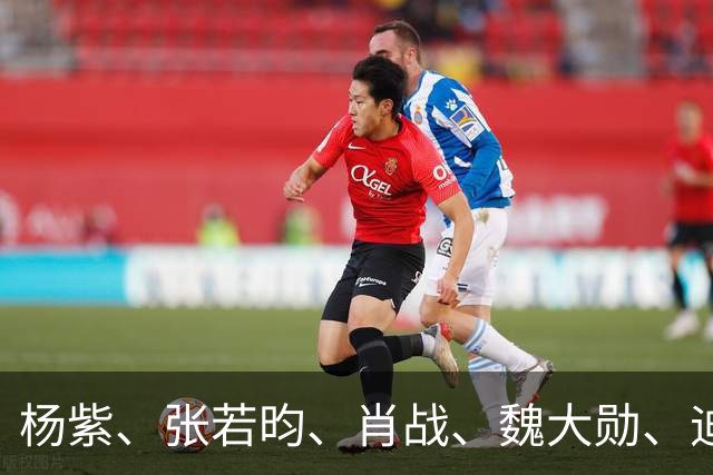 杨紫、张若昀、肖战、魏大勋、迪丽热巴、陈都灵、胡先煦、赛那