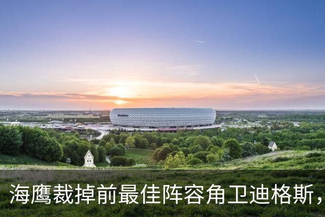 海鹰裁掉前最佳阵容角卫迪格斯，腾出一个名额