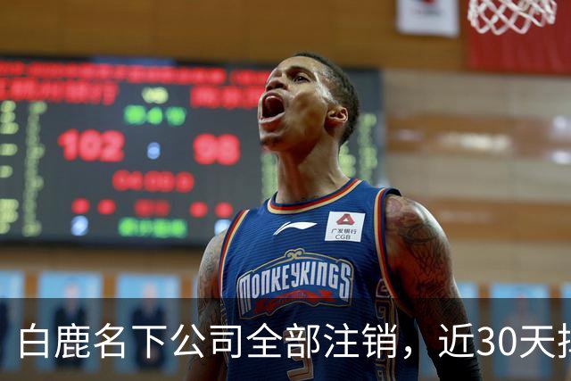白鹿名下公司全部注销，近30天掉粉超144万，独立运营过渡期引关注