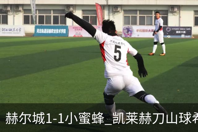 赫尔城1-1小蜜蜂 凯莱赫刀山球希基送点 麦克伯尼点射瓦塔拉扳平